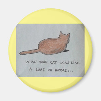 Kat ziet er uit als een broodje brood met schattig magneet