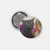 Kat zit verstrooid meme magneet (Voorkant / Achterkant)
