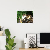 Kat Zitten in gras Afdruk Poster (Thuiskantoor)