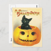 Kat zittend in een pompoen  Briefkaart (Voorkant / Achterkant)