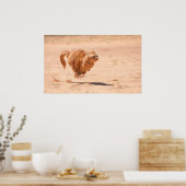 Kat zoomen poster (Keuken)