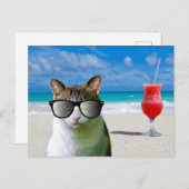 KAT-ZUIVERINGSSUNLASSEN OP DE BRIEFKAARTEN (Voorkant / Achterkant)