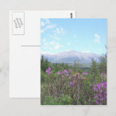 Katahdin en wilde bloemen briefkaart (Voorkant / Achterkant)