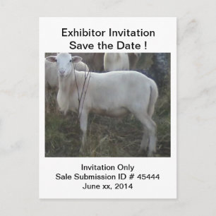 Katahin Hair Sheep Aankondigingskaart