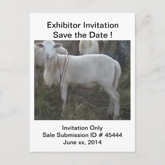 Katahin Hair Sheep Aankondigingskaart (Voorkant)