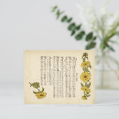 Kate greenaway Music Briefkaart (Staand voorkant)