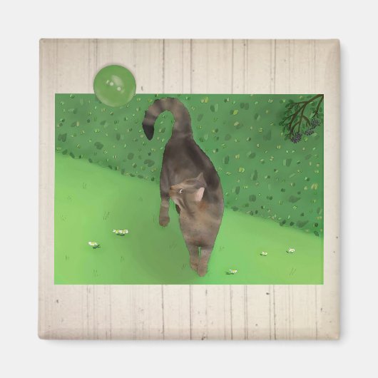 Kater Tom Magneet (Voorkant)
