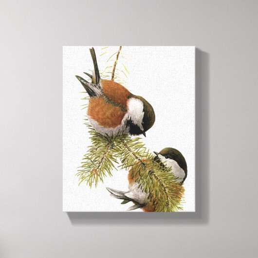kathaas met kastanjeruggen canvas afdruk (Voorkant)