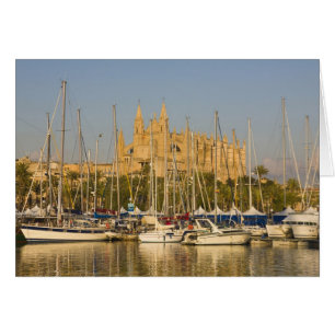 Kathedraal en marina, Palma, Mallorca, Spanje 2