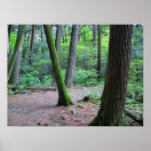 kathedraal poster (Voorkant)