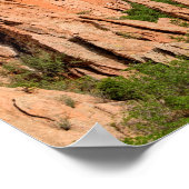 Kathedraal Spires Formations Colorado Poster (Hoek)