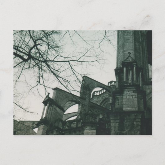 Kathedraal van Chartres (Notre Dame de Chartres) Briefkaart (Voorkant)