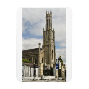 Kathedraal van de Veronderstelling, Carlow, Ierlan Magneet