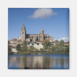 Kathedralen en stad Salamanca Magneet