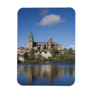 Kathedralen en stad Salamanca Magneet