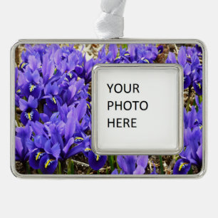 Katherine Hodgkin Irises Paarse Spring Floral Verzilverd Kader Ornament