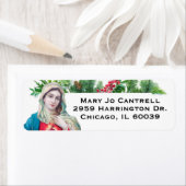 Katholieke Maagd Mary Kerstmis Religieuze Etiket (Insitu)