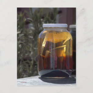 Kathy's Kosmic Kowgirl Tea Briefkaart