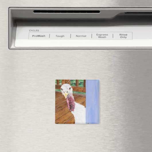 Katie Magneet (Insitu (Vaatwasser))