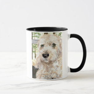 Katie the Wheaton Terrier Mok