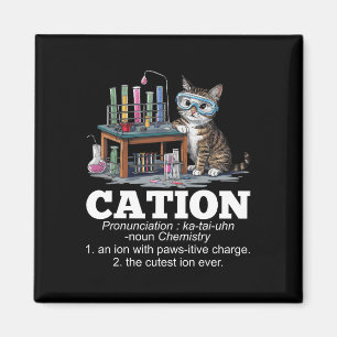 Kation Chemie Humor Wetenschap Docent Cat Pun Fun Magneet
