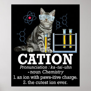 Kation Fun Chemie Humor Wetenschap Docent Cat Pun Poster