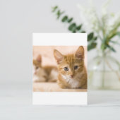katje briefkaart (Staand voorkant)