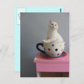 katje in plant pot briefkaart (Voorkant / Achterkant)