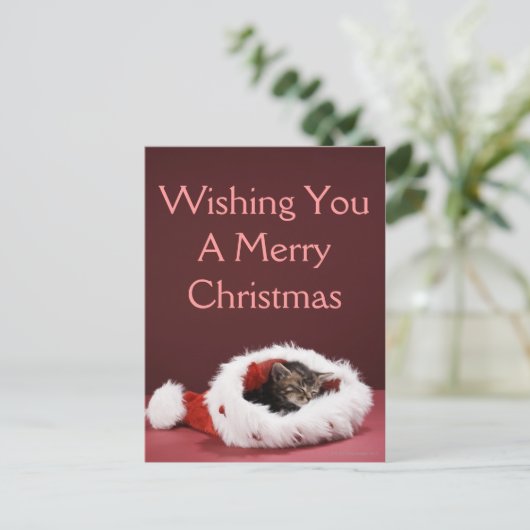 Katje in slaap in het pet van Kerstmis Feestdagenkaart (Staand voorkant)