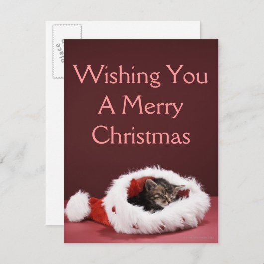 Katje in slaap in het pet van Kerstmis Feestdagenkaart (Voorkant / Achterkant)