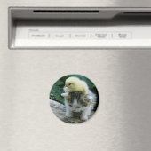 katje magneet (Insitu (Vaatwasser))