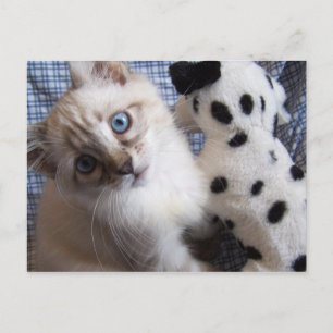 katje met puppy speelgoed briefkaart