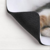 katje muismat (Hoek)