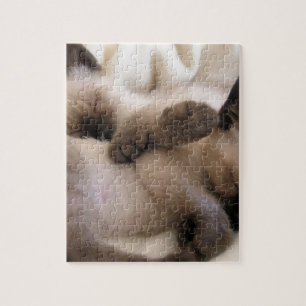 Katje van de Kat van het Huisdier van tweelingen Legpuzzel