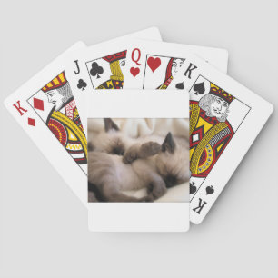 Katje van de Kat van het Huisdier van tweelingen Speelkaarten