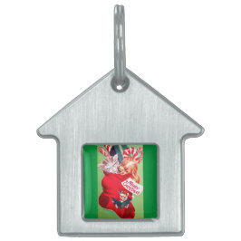 Katje van het Puppy van het Baby van het vintage Huisdieren Naamplaatje