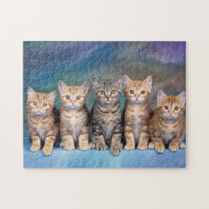 Katjes x Vijf van de gestreepte kat Legpuzzel