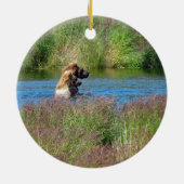 Katmai Nationaal Park Keramisch Ornament (Achterkant)