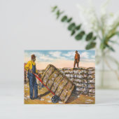 Katoen balen in het diepe zuiden van de jaren 20 briefkaart (Staand voorkant)
