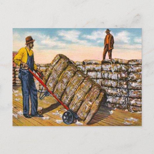 Katoen balen in het diepe zuiden van de jaren 20 briefkaart (Voorkant)