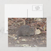 Katoen Briefkaart (Voorkant / Achterkant)