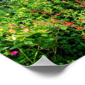 Katoen in de Engelse tuinen Poster (Hoek)