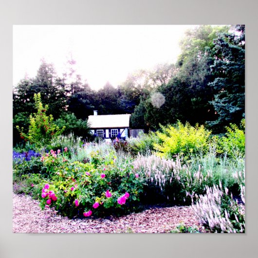 Katoen in het Poster Engelse tuinen (Voorkant)
