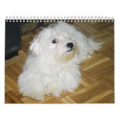 Katoen Snoep Kalender (Hoes)