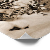 Katoen voor sproeiers in de winter poster (Hoek)