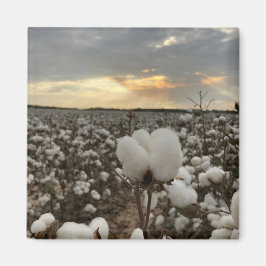 Katoen Zonsondergang Magneet