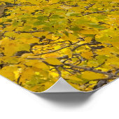 Katoenboom in piek-valkleuren in gletsjer poster (Hoek)