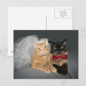 katoenbruid en -bruin briefkaart (Voorkant / Achterkant)