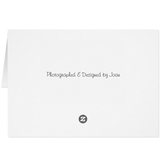 KatoenHout (Achterkant Horizontaal)