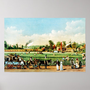 Katoenplantage in Mississippi Poster